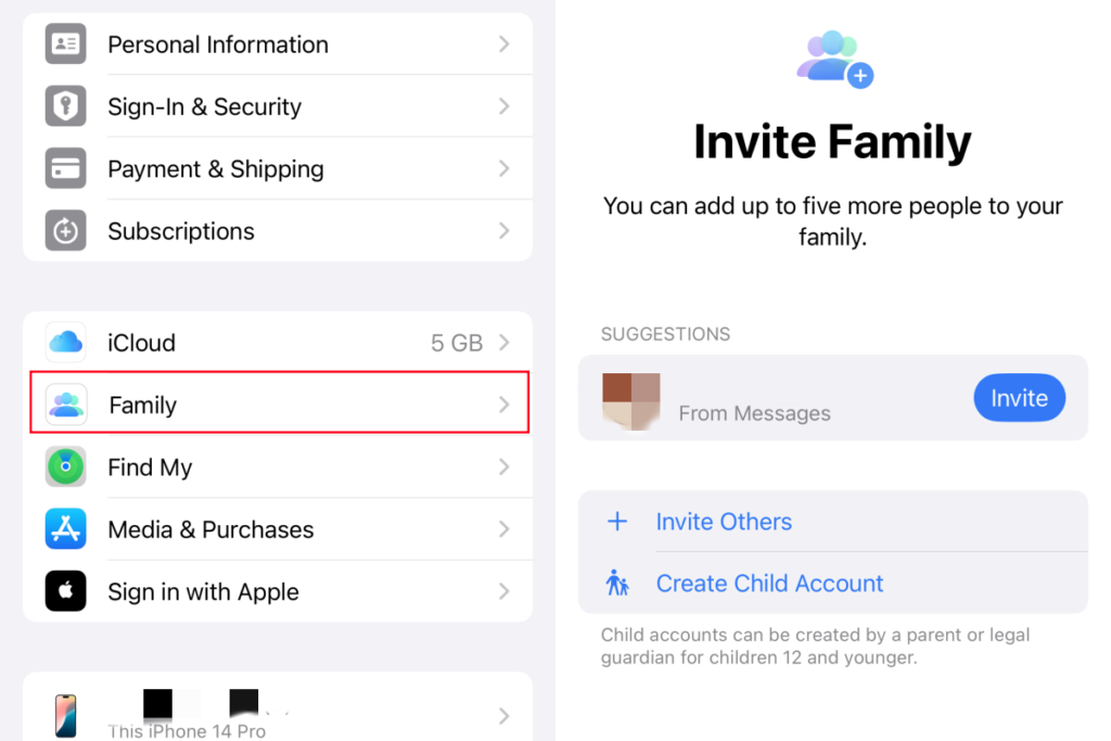 Family Sharing Setup family sharing