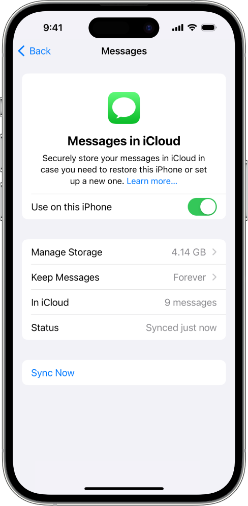 iCloud Message Settings monitor child's text messages using iCloud
