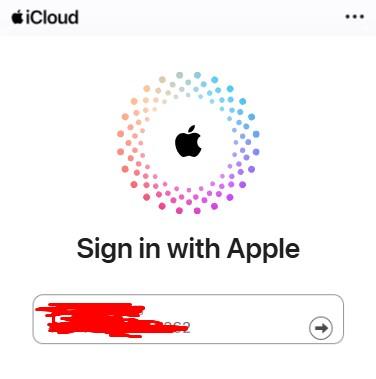 Log in with your Apple ID